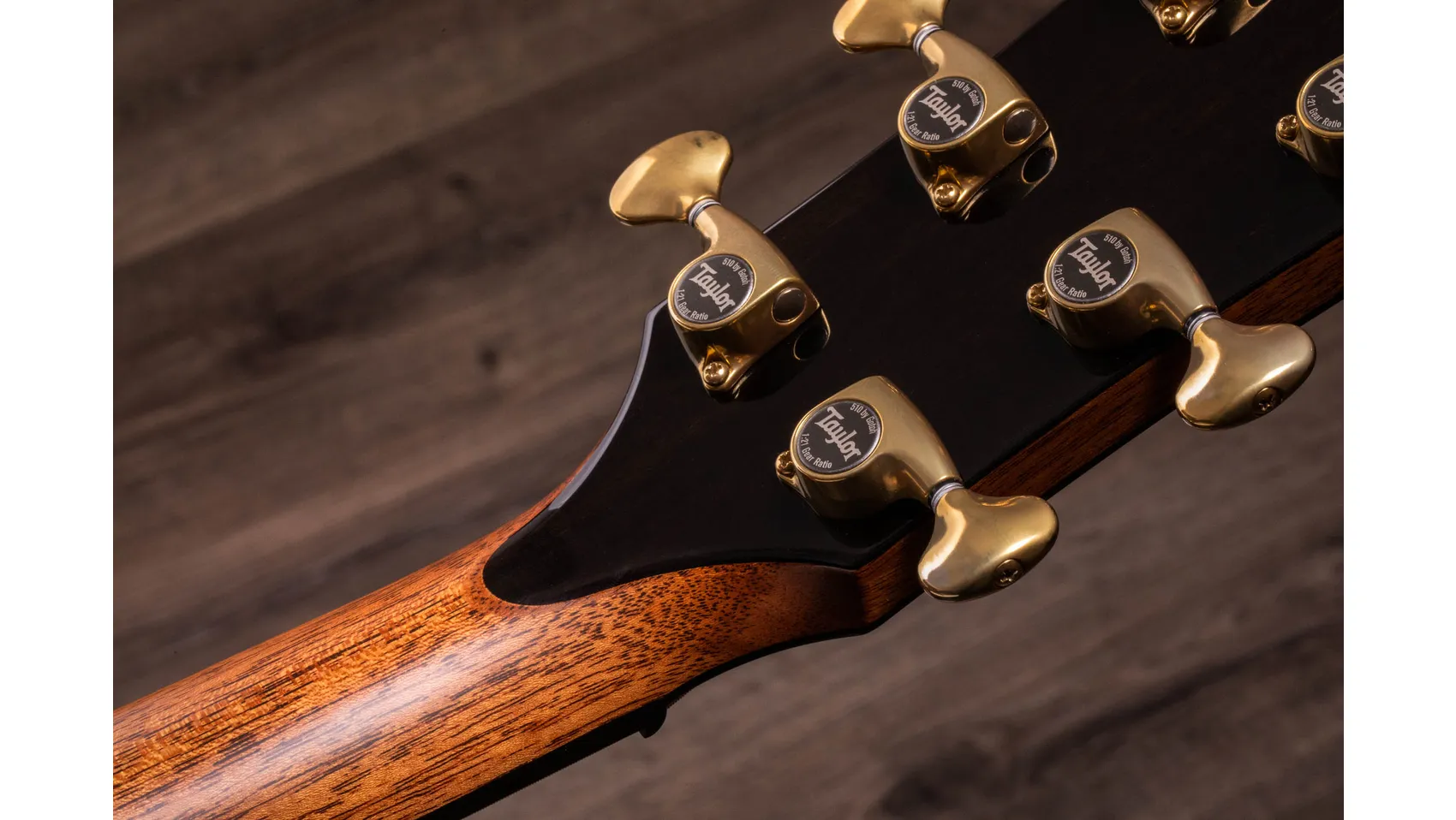 PS12ce Honduran Rosewood Honduran Rosewood Acoustic-Electric